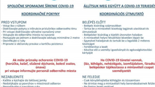 Aktuality / Celoplošné testovanie na COVID-19 - foto