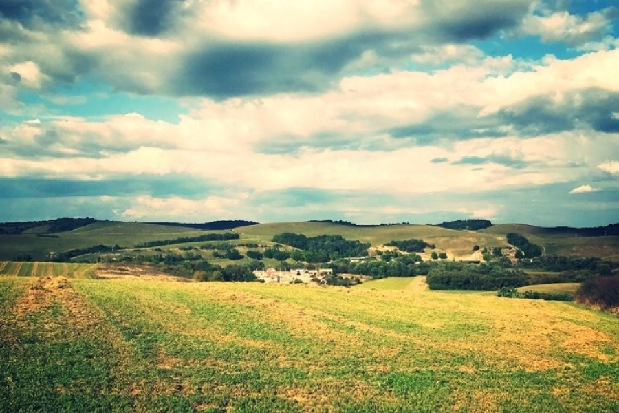 1. fotografia fotogalérie 