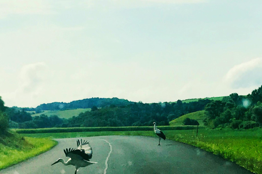 3. fotografia fotogalérie 