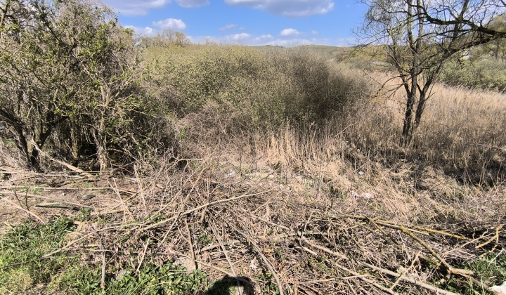 2. fotografia fotogalérie Aktuality / Illegális hulladéklerakó felszámolása – SZIGORÚ TILALOM / Zrušenie čiernej skládky – PRÍSNY ZÁKAZ - foto