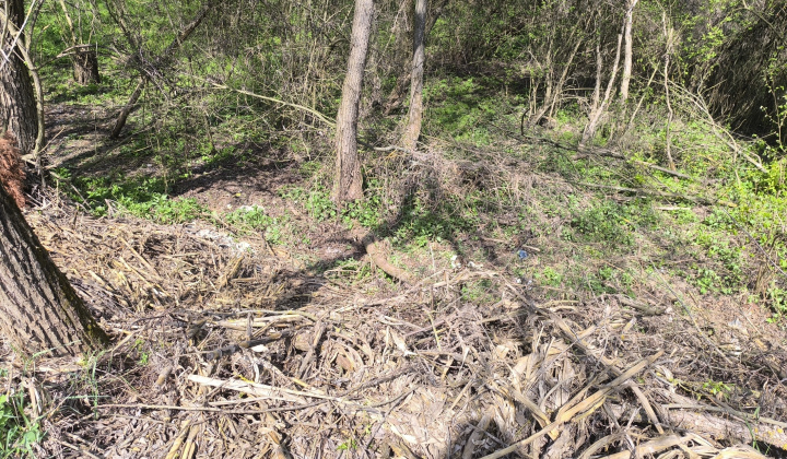 3. fotografia fotogalérie Aktuality / Illegális hulladéklerakó felszámolása – SZIGORÚ TILALOM / Zrušenie čiernej skládky – PRÍSNY ZÁKAZ - foto