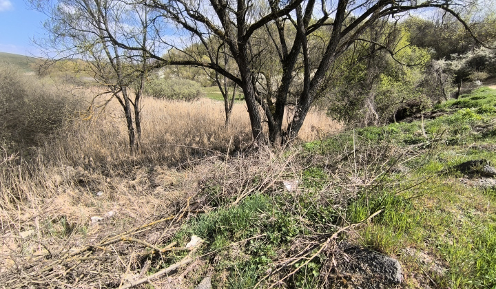 2. fotografia fotogalérie Aktuality / Illegális hulladék felszámolása – köszönjük az összefogást!  Odstránenie nelegálnej skládky – ďakujeme za spoluprácu! - foto