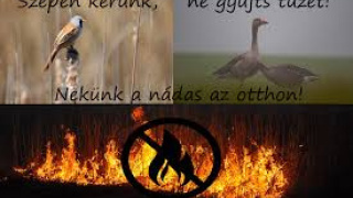 Aktuality / Zákaz vypaľovania  - foto